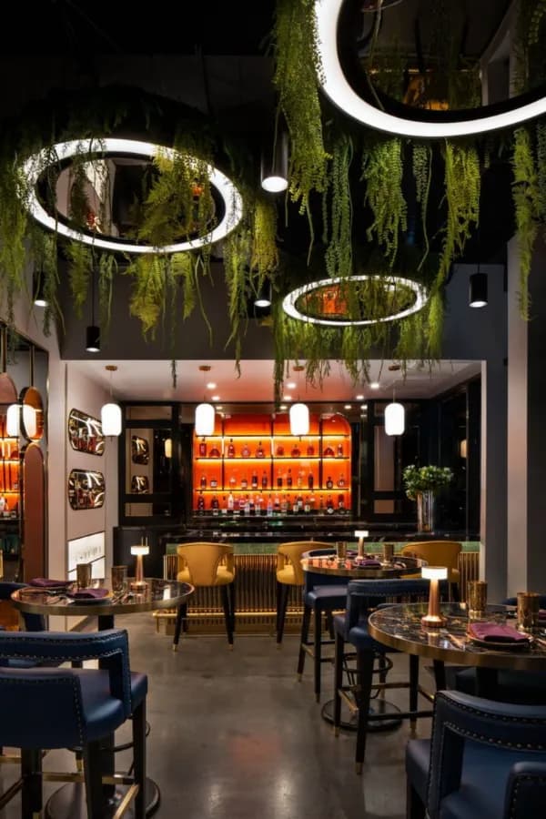 Sula at Sula Davie Street