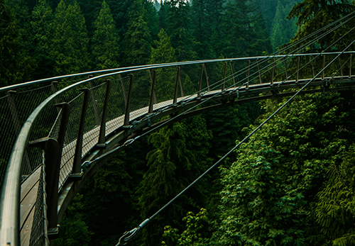 Capilano bridge rainforest walk Sula Indian Restaurant Vancouver